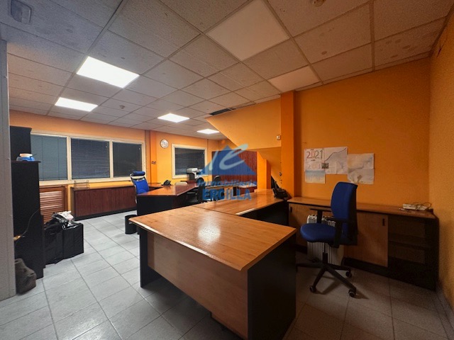 Nave industrial en alquiler con grúas para 20 Tm